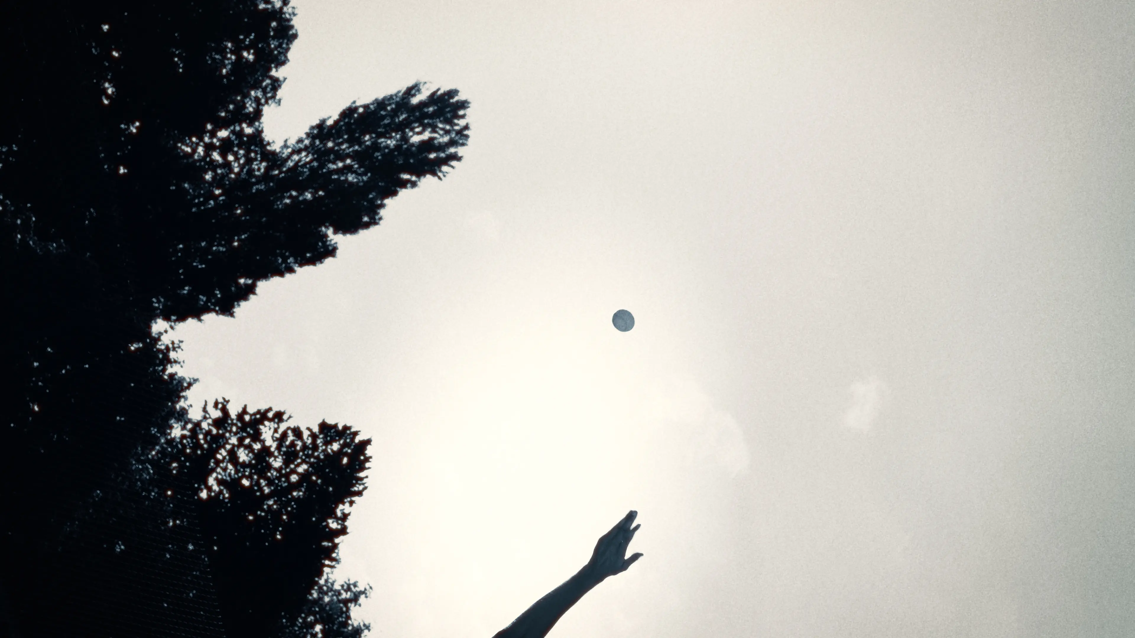 Frame